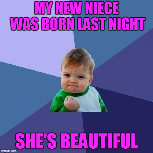 Repost Week, a Pipe_Picasso event, Oct. 15-21. I got this from here - https://imgflip.com/i/2kdg3g | MY NEW NIECE WAS BORN LAST NIGHT; SHE'S BEAUTIFUL | image tagged in memes,success kid,repost week,jbmemegeek,family,niece | made w/ Imgflip meme maker