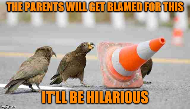 THE PARENTS WILL GET BLAMED FOR THIS IT'LL BE HILARIOUS | made w/ Imgflip meme maker