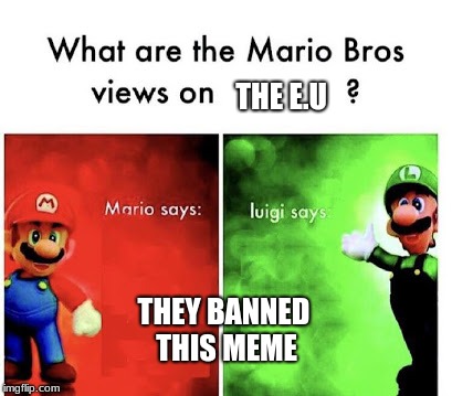 mario bros views on | THE E.U; THEY BANNED THIS MEME | image tagged in mario bros views on | made w/ Imgflip meme maker