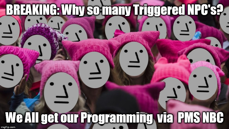 BREAKING: Why so many Triggered NPC's? Paid Programming via PMSNBC. Stop All the Whining... America #WINNING  | BREAKING: Why so many Triggered NPC's? We All get our Programming  via  PMS NBC | image tagged in pmsnbc programming,npc,triggered feminazi,leftists,shut up already,maga | made w/ Imgflip meme maker