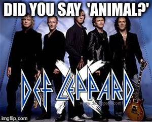def leppard | DID YOU SAY  'ANIMAL?' | image tagged in def leppard | made w/ Imgflip meme maker