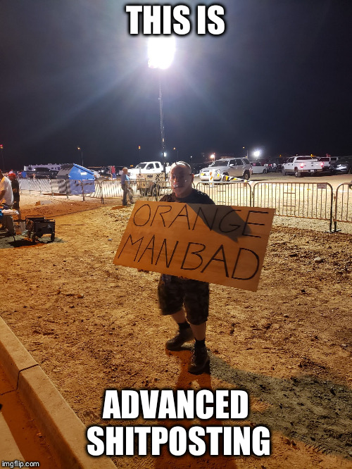 Counter Protesting at a Trump Rally | THIS IS; ADVANCED SHITPOSTING | image tagged in irlshitposting,trump,npc | made w/ Imgflip meme maker