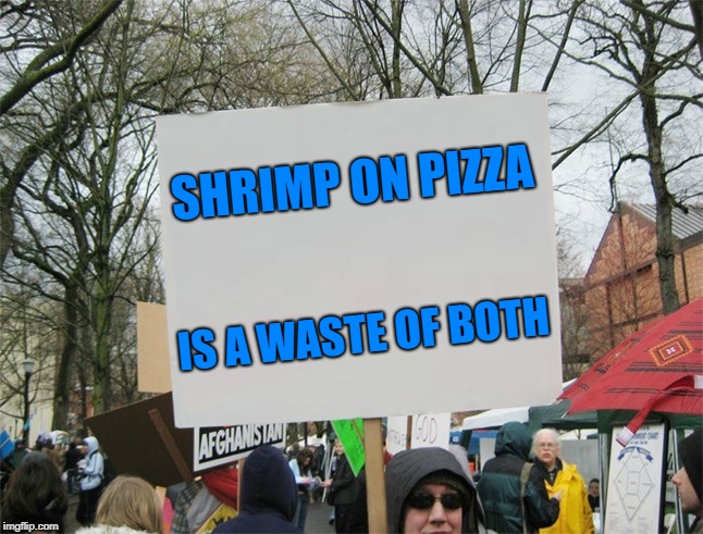 Blank protest sign | SHRIMP ON PIZZA; IS A WASTE OF BOTH | image tagged in blank protest sign | made w/ Imgflip meme maker
