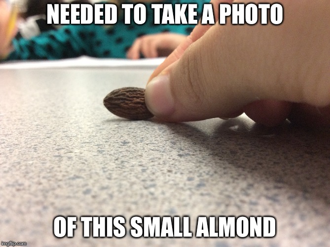At school needed to take a pic | NEEDED TO TAKE A PHOTO; OF THIS SMALL ALMOND | image tagged in unique | made w/ Imgflip meme maker