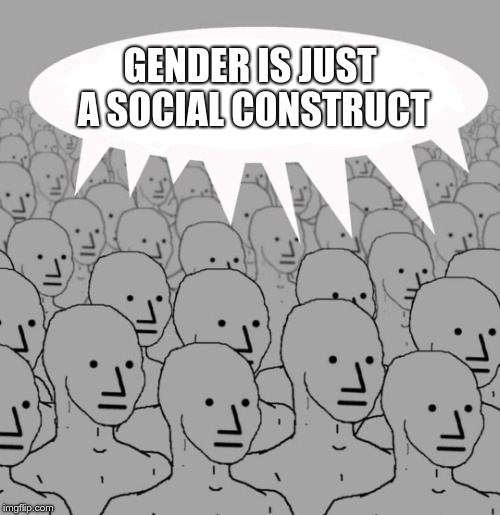 Gender is just a social construct | GENDER IS JUST A SOCIAL CONSTRUCT | image tagged in chicago,npc,gender,radical feminism | made w/ Imgflip meme maker