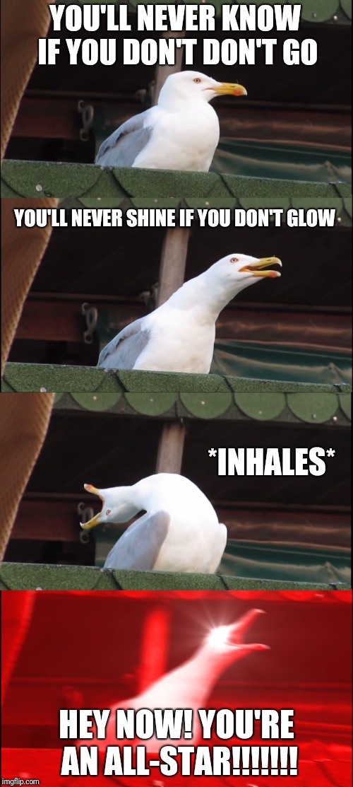 Inhaling Seagull Meme | YOU'LL NEVER KNOW IF YOU DON'T DON'T GO; YOU'LL NEVER SHINE IF YOU DON'T GLOW; *INHALES*; HEY NOW! YOU'RE AN ALL-STAR!!!!!!! | image tagged in memes,inhaling seagull | made w/ Imgflip meme maker