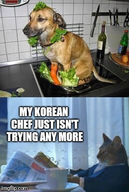 When you have to do a Google image search because someone didn't share the template... | MY KOREAN CHEF JUST ISN'T TRYING ANY MORE | image tagged in memes,dog salad,i should buy a boat cat,korean cuisine | made w/ Imgflip meme maker