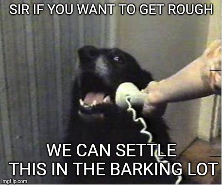 Yes this is dog | SIR IF YOU WANT TO GET ROUGH; WE CAN SETTLE THIS IN THE BARKING LOT | image tagged in yes this is dog | made w/ Imgflip meme maker