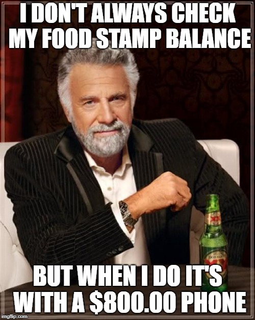 food stamps
 | I DON'T ALWAYS CHECK MY FOOD STAMP BALANCE; BUT WHEN I DO IT'S WITH A $800.00 PHONE | image tagged in memes,the most interesting man in the world | made w/ Imgflip meme maker