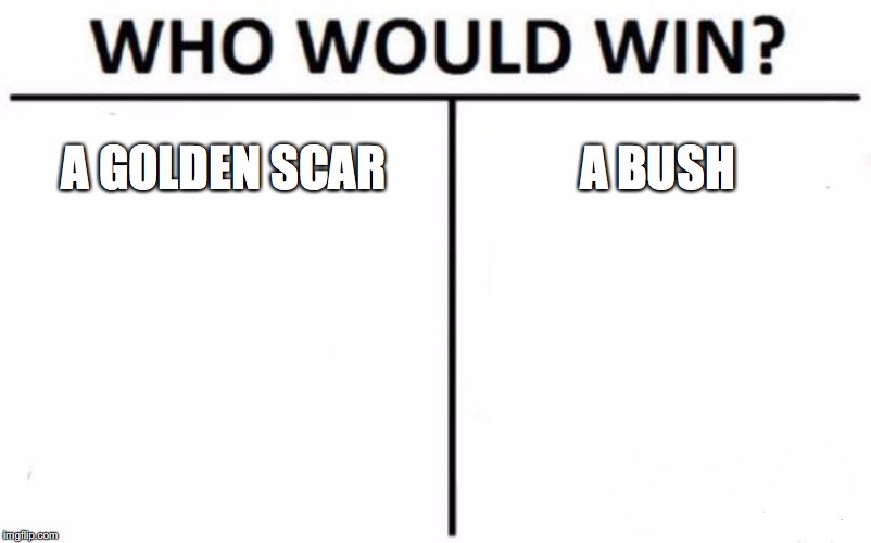 Who Would Win? Meme | A GOLDEN SCAR; A BUSH | image tagged in memes,who would win | made w/ Imgflip meme maker