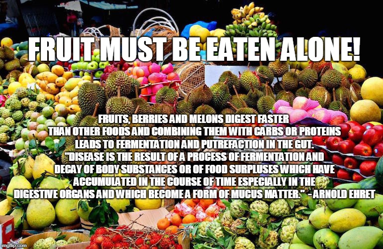 FRUIT MUST BE EATEN ALONE! FRUITS, BERRIES AND MELONS DIGEST FASTER THAN OTHER FOODS AND COMBINING THEM WITH CARBS OR PROTEINS LEADS TO FERMENTATION AND PUTREFACTION IN THE GUT. "DISEASE IS THE RESULT OF A PROCESS OF FERMENTATION AND DECAY OF BODY SUBSTANCES OR OF FOOD SURPLUSES WHICH HAVE ACCUMULATED IN THE COURSE OF TIME ESPECIALLY IN THE DIGESTIVE ORGANS AND WHICH BECOME A FORM OF MUCUS MATTER."
 - ARNOLD EHRET | image tagged in ania | made w/ Imgflip meme maker