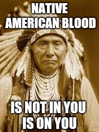 Native American | NATIVE AMERICAN BLOOD; IS NOT IN YOU
   IS ON YOU | image tagged in native american | made w/ Imgflip meme maker