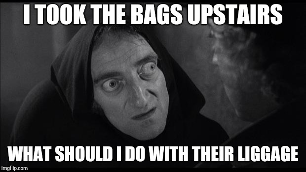 Young Frankenstein | I TOOK THE BAGS UPSTAIRS; WHAT SHOULD I DO WITH THEIR LIGGAGE | image tagged in young frankenstein | made w/ Imgflip meme maker