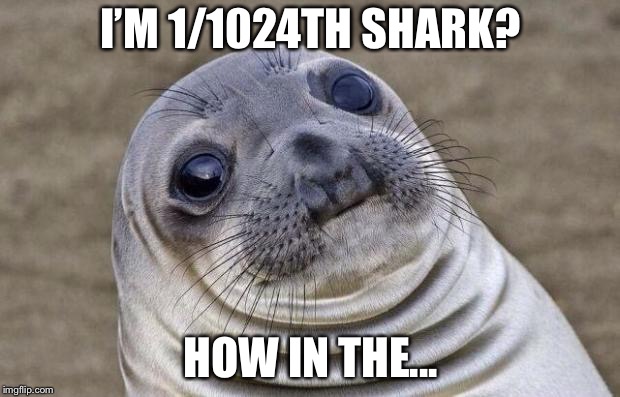 Awkward Moment Sealion | I’M 1/1024TH SHARK? HOW IN THE... | image tagged in memes,awkward moment sealion | made w/ Imgflip meme maker