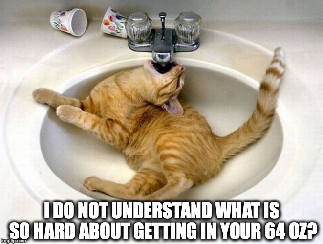 WATER | I DO NOT UNDERSTAND WHAT IS SO HARD ABOUT GETTING IN YOUR 64 OZ? | image tagged in water | made w/ Imgflip meme maker