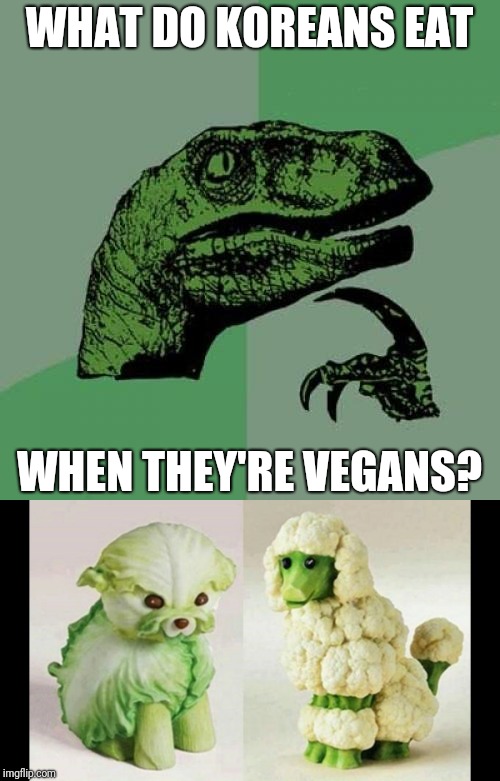Found when I googled "dog salad" | WHAT DO KOREANS EAT; WHEN THEY'RE VEGANS? | image tagged in memes,philosoraptor,vegetarian dog sculptures,korean cuisine,vegans | made w/ Imgflip meme maker
