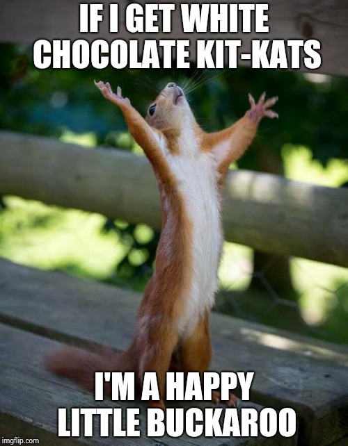 Happy Squirrel | IF I GET WHITE CHOCOLATE KIT-KATS I'M A HAPPY LITTLE BUCKAROO | image tagged in happy squirrel | made w/ Imgflip meme maker