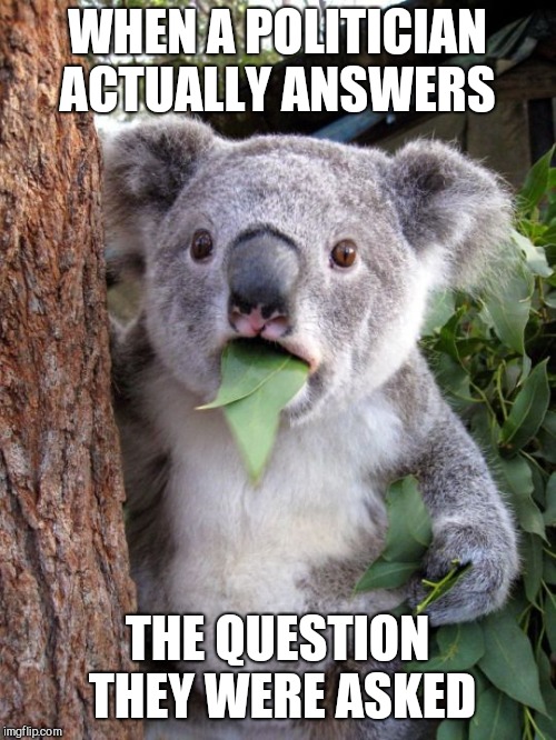 Still waiting for this day | WHEN A POLITICIAN ACTUALLY ANSWERS; THE QUESTION THEY WERE ASKED | image tagged in shocked koala | made w/ Imgflip meme maker