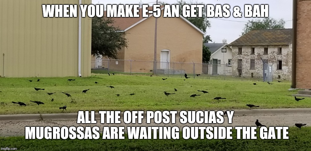 WHEN YOU MAKE E-5 AN GET BAS & BAH; ALL THE OFF POST SUCIAS Y MUGROSSAS ARE WAITING OUTSIDE THE GATE | image tagged in 340th qm | made w/ Imgflip meme maker