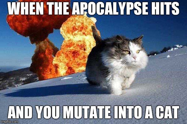 Action Hero Cat | WHEN THE APOCALYPSE HITS; AND YOU MUTATE INTO A CAT | image tagged in action hero cat | made w/ Imgflip meme maker