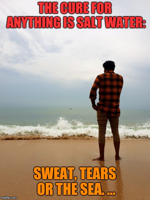 Salt water | THE CURE FOR ANYTHING IS SALT WATER:; SWEAT, TEARS OR THE SEA. ... | image tagged in salt water | made w/ Imgflip meme maker