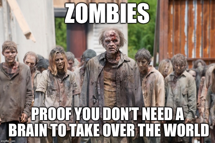 zombies | ZOMBIES; PROOF YOU DON’T NEED A BRAIN TO TAKE OVER THE WORLD | image tagged in zombies | made w/ Imgflip meme maker