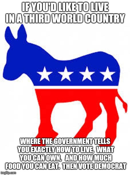 Democrat donkey | IF YOU'D LIKE TO LIVE IN A THIRD WORLD COUNTRY; WHERE THE GOVERNMENT TELLS YOU EXACTLY HOW TO LIVE,  WHAT YOU CAN OWN, 
 AND HOW MUCH FOOD YOU CAN EAT.  THEN VOTE DEMOCRAT | image tagged in democrat donkey | made w/ Imgflip meme maker