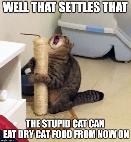 Over Dramatic Cat | WELL THAT SETTLES THAT; THE STUPID CAT CAN EAT DRY CAT FOOD FROM NOW ON | image tagged in over dramatic cat | made w/ Imgflip meme maker