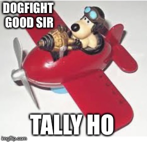 DOGFIGHT GOOD SIR TALLY HO | made w/ Imgflip meme maker