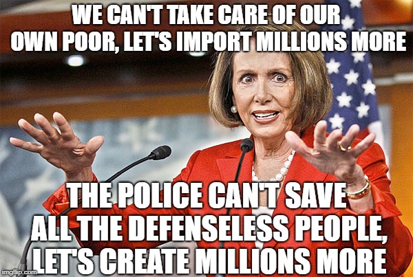 Nancy Pelosi is crazy | WE CAN'T TAKE CARE OF OUR OWN POOR, LET'S IMPORT MILLIONS MORE THE POLICE CAN'T SAVE ALL THE DEFENSELESS PEOPLE, LET'S CREATE MILLIONS MORE | image tagged in nancy pelosi is crazy | made w/ Imgflip meme maker