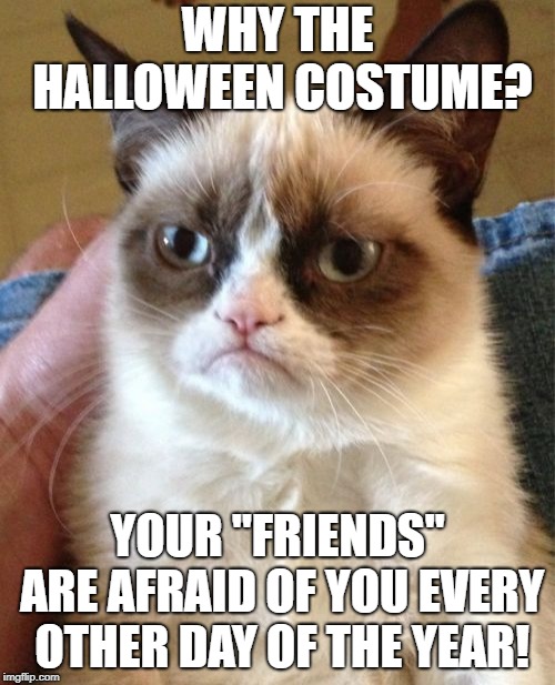 Friends | WHY THE HALLOWEEN COSTUME? YOUR "FRIENDS" ARE AFRAID OF YOU EVERY OTHER DAY OF THE YEAR! | image tagged in memes,grumpy cat,halloween | made w/ Imgflip meme maker
