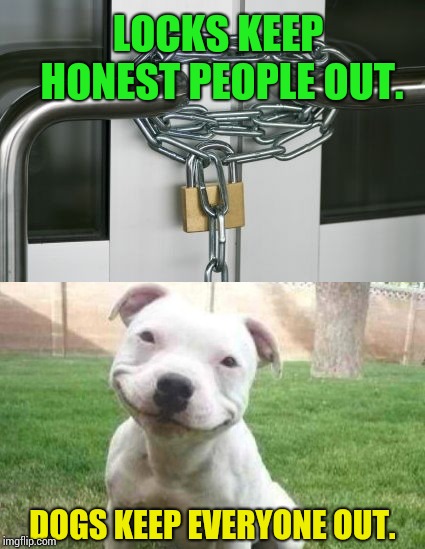 I forgot to lock the door when I left my house today. It's okay, though, because | LOCKS KEEP HONEST PEOPLE OUT. DOGS KEEP EVERYONE OUT. | image tagged in memes,dog,i pity the fool | made w/ Imgflip meme maker