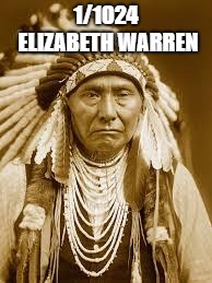 Native American | 1/1024 ELIZABETH WARREN | image tagged in native american | made w/ Imgflip meme maker