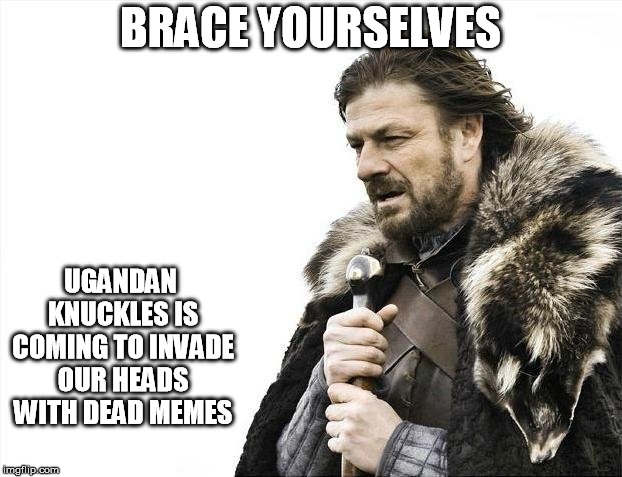 Brace Yourselves X is Coming | BRACE YOURSELVES; UGANDAN KNUCKLES IS COMING TO INVADE OUR HEADS WITH DEAD MEMES | image tagged in memes,brace yourselves x is coming | made w/ Imgflip meme maker