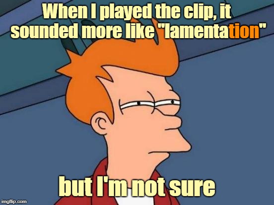 Futurama Fry Meme | When I played the clip, it sounded more like "lamentation" but I'm not sure tion | image tagged in memes,futurama fry | made w/ Imgflip meme maker