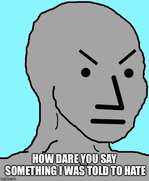 NPC meme angry | HOW DARE YOU SAY SOMETHING I WAS TOLD TO HATE | image tagged in npc meme angry | made w/ Imgflip meme maker