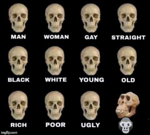 idiot skull | 🦍 | image tagged in idiot skull | made w/ Imgflip meme maker