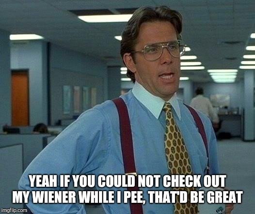 That Would Be Great Meme | YEAH IF YOU COULD NOT CHECK OUT MY WIENER WHILE I PEE, THAT'D BE GREAT | image tagged in memes,that would be great | made w/ Imgflip meme maker