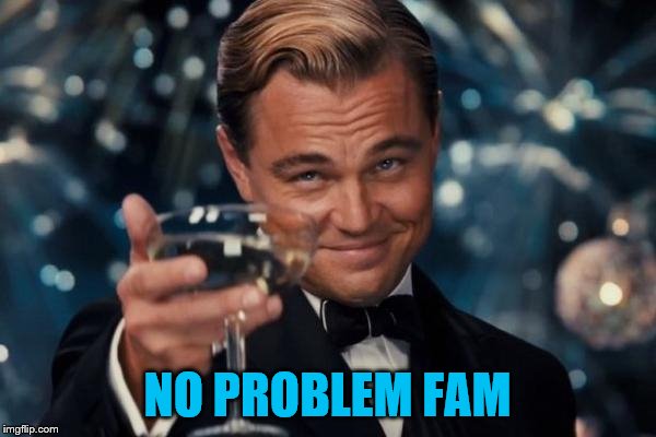 Leonardo Dicaprio Cheers Meme | NO PROBLEM FAM | image tagged in memes,leonardo dicaprio cheers | made w/ Imgflip meme maker