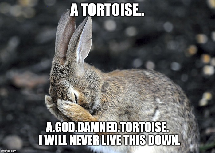 Aftermath of the tortoise and the hare | A TORTOISE.. A.GOD.DAMNED.TORTOISE. 
I WILL NEVER LIVE THIS DOWN. | image tagged in aftermath of the tortoise and the hare | made w/ Imgflip meme maker