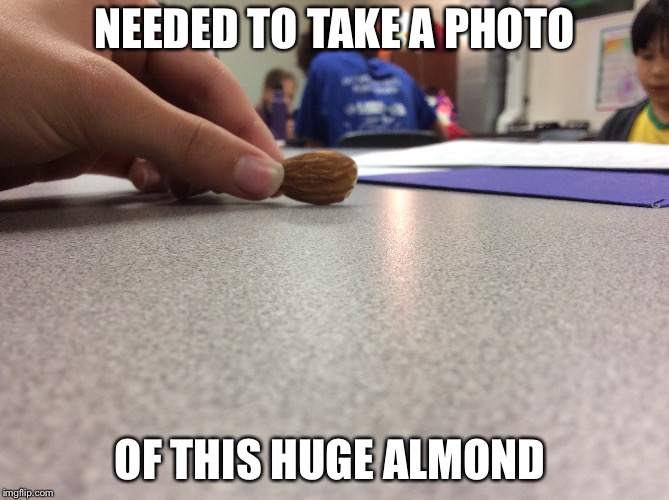 Huge almond | NEEDED TO TAKE A PHOTO; OF THIS HUGE ALMOND | image tagged in food | made w/ Imgflip meme maker