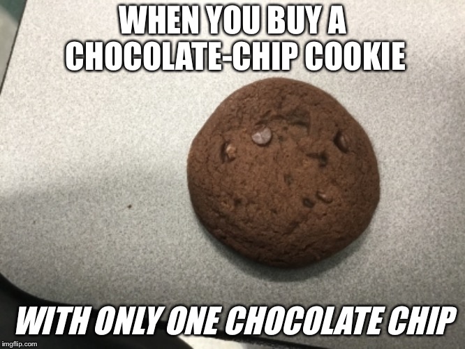 The little things in life | WHEN YOU BUY A CHOCOLATE-CHIP COOKIE; WITH ONLY ONE CHOCOLATE CHIP | image tagged in funny | made w/ Imgflip meme maker