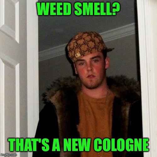 Scumbag Steve Meme | WEED SMELL? THAT'S A NEW COLOGNE | image tagged in memes,scumbag steve | made w/ Imgflip meme maker