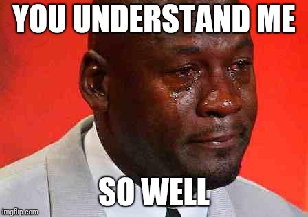 crying michael jordan | YOU UNDERSTAND ME SO WELL | image tagged in crying michael jordan | made w/ Imgflip meme maker