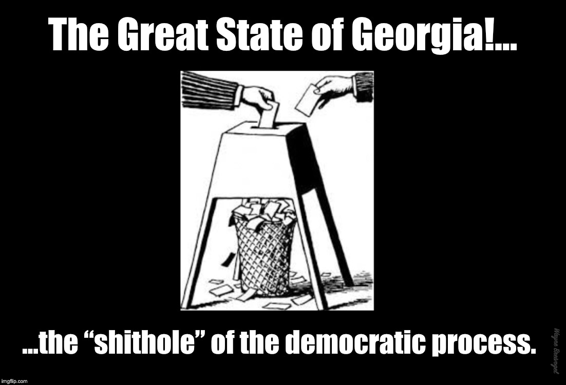The great state of Georgia, the “shithole” of the democratic process  |  The Great State of Georgia!... ...the “shithole” of the democratic process. Wayne Breivogel | image tagged in georgia,rigged elections,brian kemp,trump,republicans | made w/ Imgflip meme maker