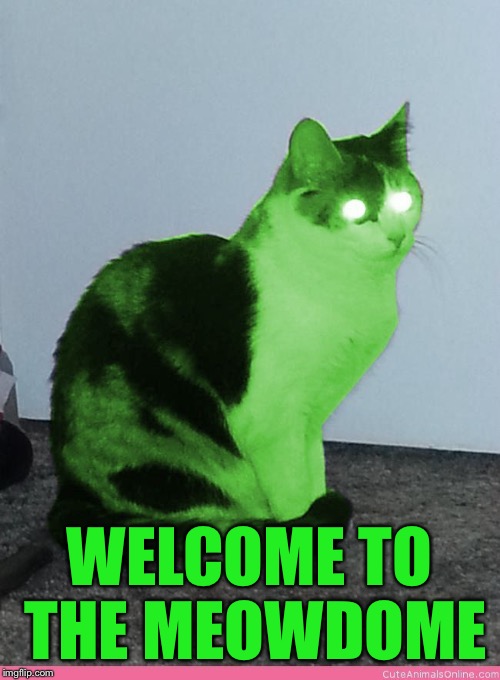 Hypno Raycat | WELCOME TO THE MEOWDOME | image tagged in hypno raycat | made w/ Imgflip meme maker