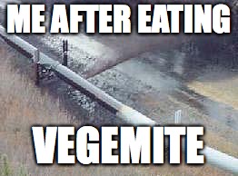 pipeline oil spill  | ME AFTER EATING; VEGEMITE | image tagged in pipeline oil spill | made w/ Imgflip meme maker