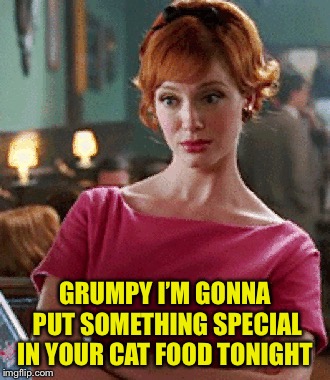 GRUMPY I’M GONNA PUT SOMETHING SPECIAL IN YOUR CAT FOOD TONIGHT | made w/ Imgflip meme maker