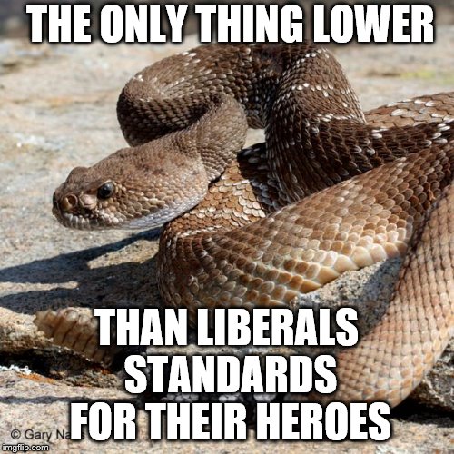 rattlesnakes | THE ONLY THING LOWER; THAN LIBERALS STANDARDS FOR THEIR HEROES | image tagged in rattlesnakes | made w/ Imgflip meme maker