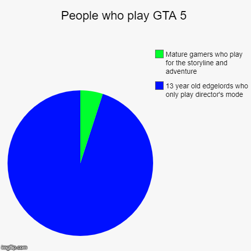 People who play GTA 5 | 13 year old edgelords who only play director's mode, Mature gamers who play for the storyline and adventure | image tagged in funny,pie charts | made w/ Imgflip chart maker
